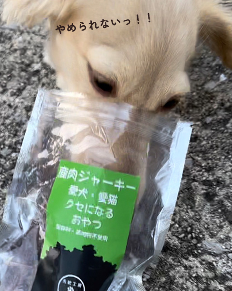 やめられないっ！
